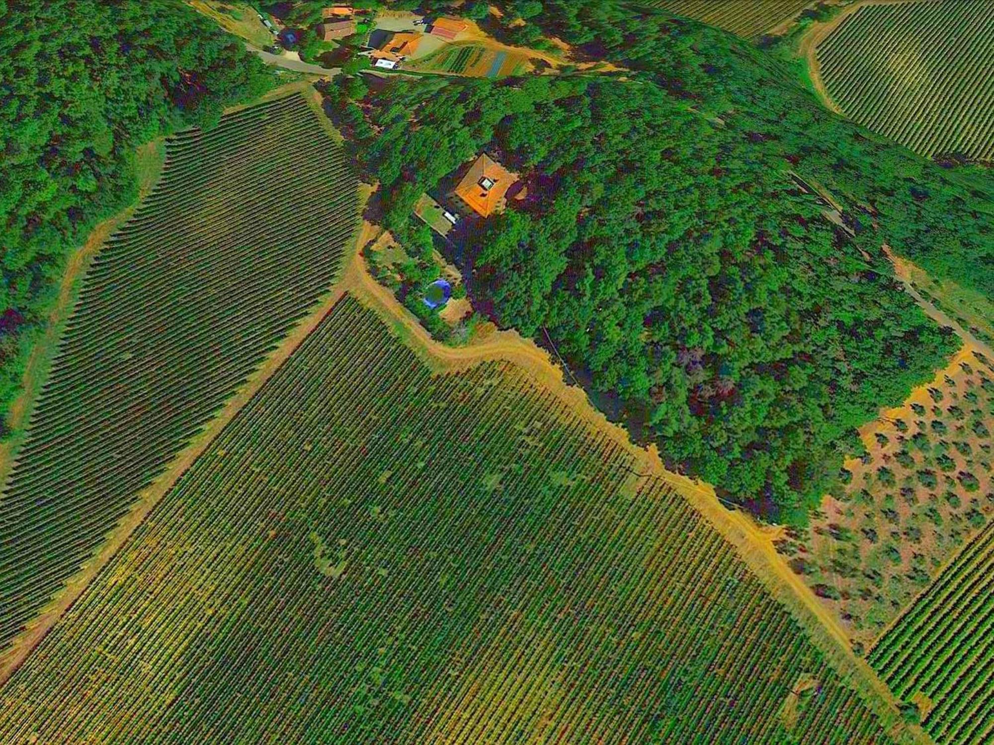 Lovely Holiday Home In Montefiridolfi With Hill View Eksteriør bilde