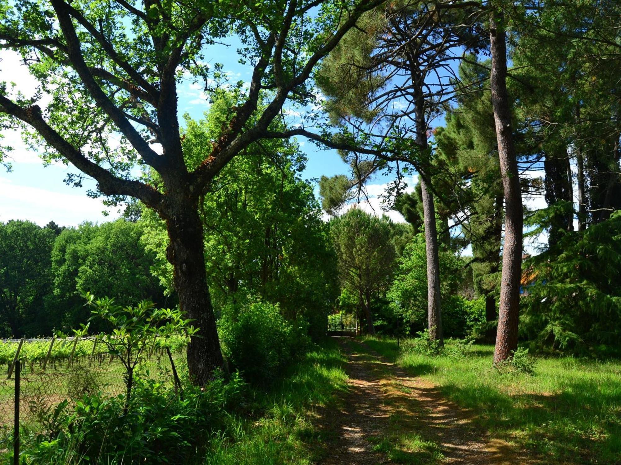 Lovely Holiday Home In Montefiridolfi With Hill View Eksteriør bilde