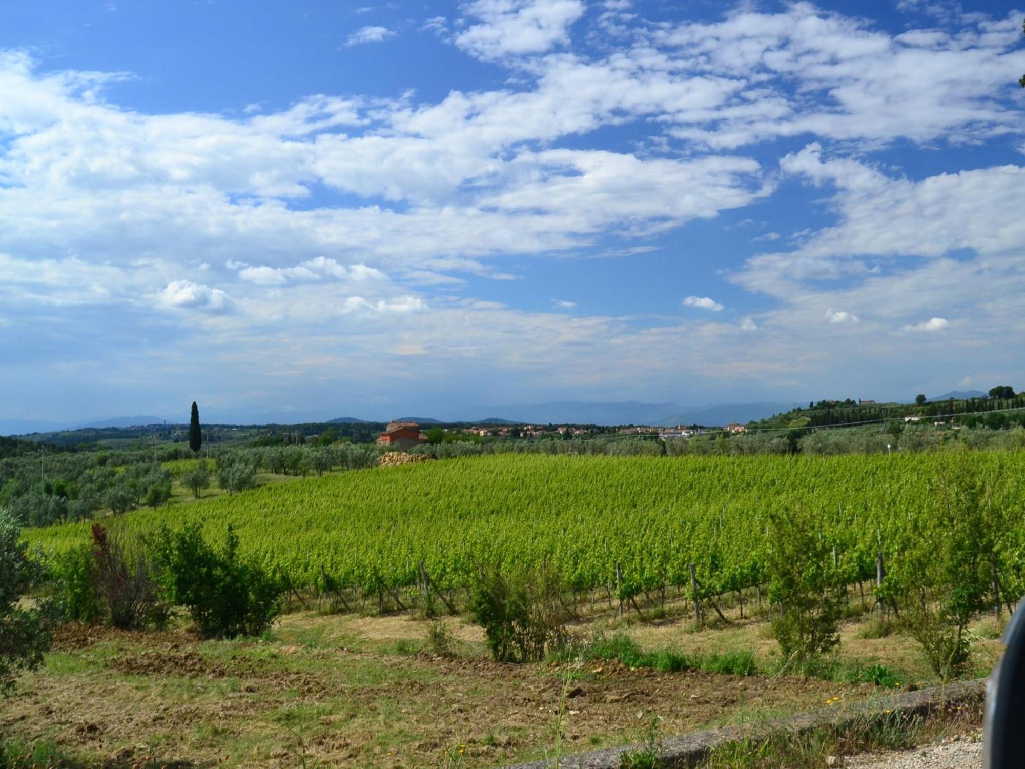 Lovely Holiday Home In Montefiridolfi With Hill View Eksteriør bilde