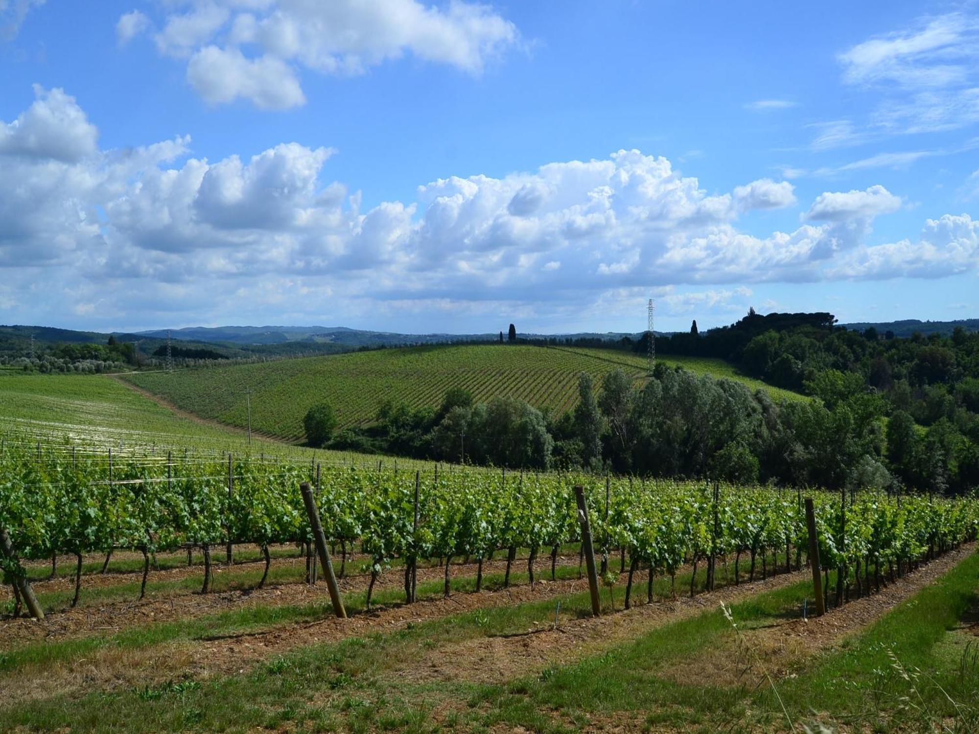 Lovely Holiday Home In Montefiridolfi With Hill View Eksteriør bilde