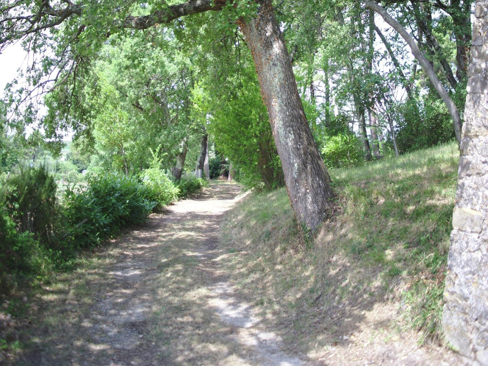 Lovely Holiday Home In Montefiridolfi With Hill View Eksteriør bilde