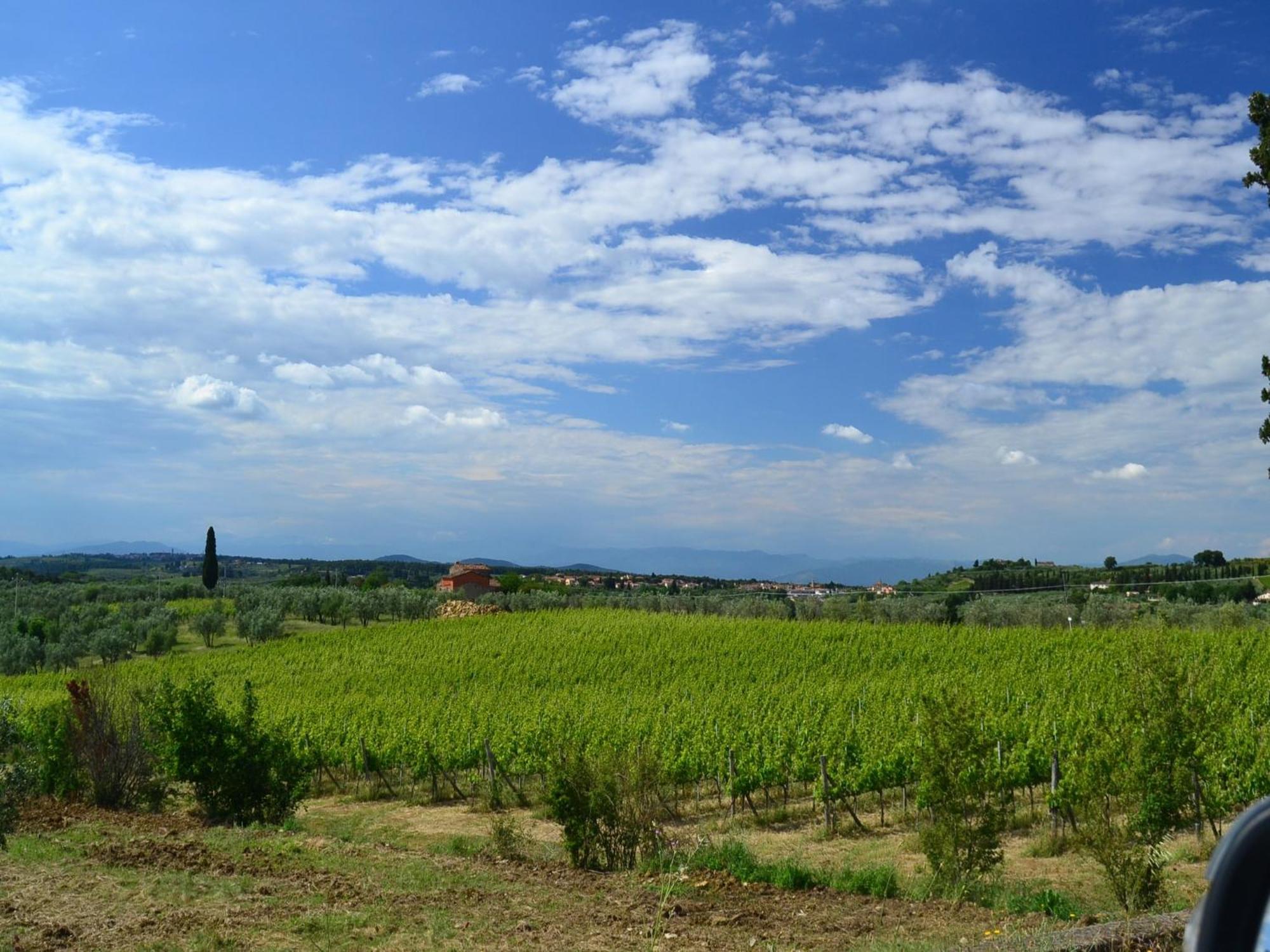 Lovely Holiday Home In Montefiridolfi With Hill View Eksteriør bilde
